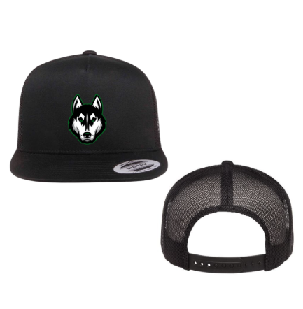 Huskies Distressed Hat