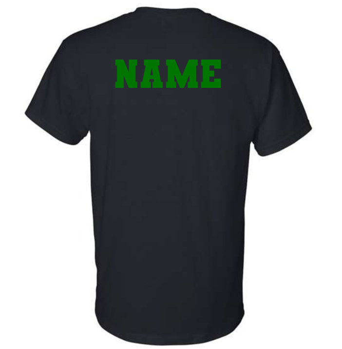 ADD NAME ON BACK OF FAN SHIRT ( PLEASE PURCHSE SHIRT ALONG WITH THIS OPTION)